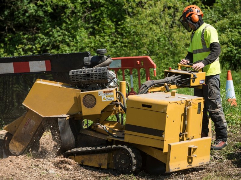 A heavy duty stump grinder with rubber caterpillar tracks being used to grind out the remaining tree